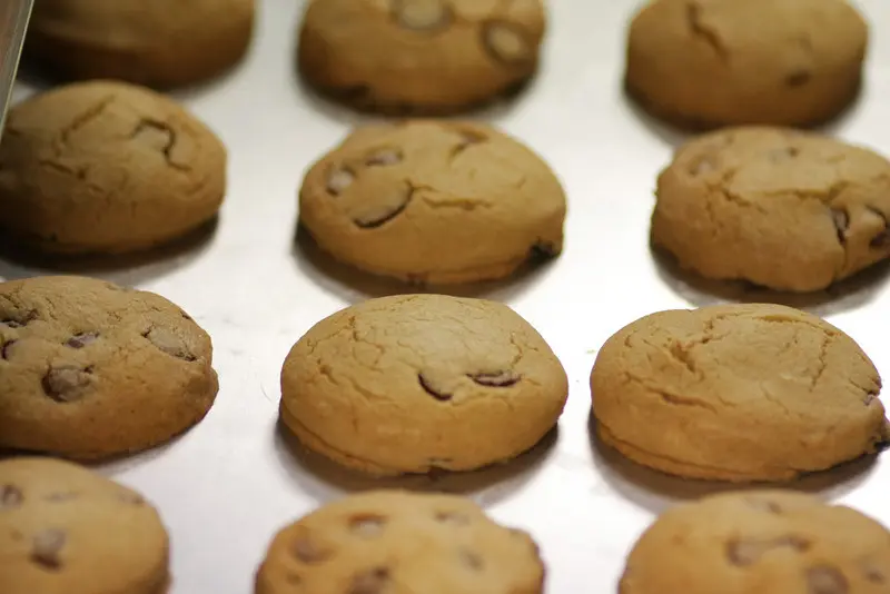 A close-up view of freshly baked Molly Woppy chocolate chip cookies cooling on a metal tray, their golden-brown surfaces slightly cracked.